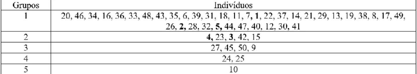 Tabela  1.  Resultado  do  agrupamento  otimizado  de  Tocher  Modificado  baseado  na  distância  euclidiana  média  padronizada dos dados referentes à arquitetura da planta 