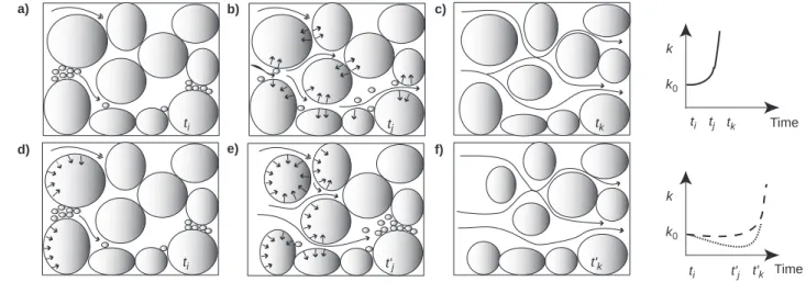 Figure 13 summarizes schematically, for an assemblage of grains containing micritic mould, the possible geometry and permeability evolution according to the value of Da