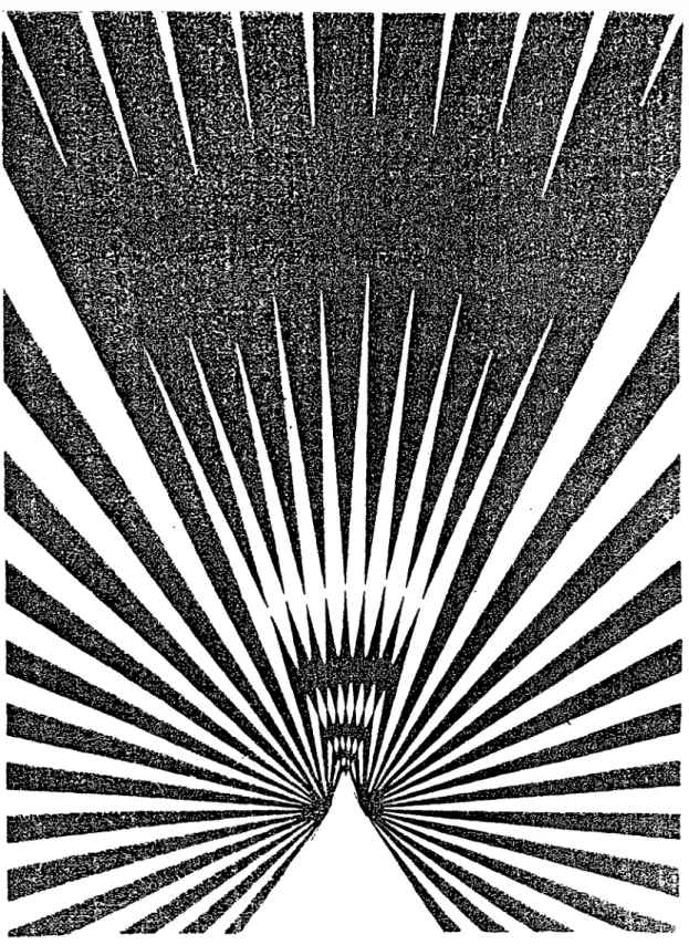 Fig. 6 : Representation du champ visuel total de Nemobius  sylvestris selon le modele de BUPK HARDT 