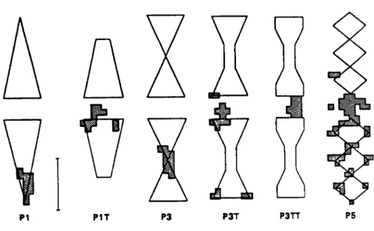 Fig. 13 : Schema illustrant les  zones preferentielles  d 1 atterrissage des abeilles