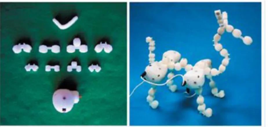 Figure 2. Le système Topobo (à gauche) et une création d’animal (à droite) (Photos provenant de (Raffle  et al., 2004)) 