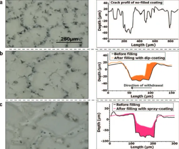 Fig. 2a shows the proﬁle of the outer surface of a TBC initially deposited by 4 successive dip-coating passes and heat treated for