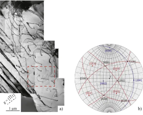 Fig. 1 displays the deformation microstructure in a γ grain of a bor- bor-der using the g = (111 Þ re ﬂ ection (g is the vector of the reciprocal lattice normal to the plane used to obtain the image in two beams condition; g is called the diffracting vecto