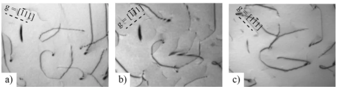 Fig. 3. TEM observations of the dislocation loop situated inside the red rectangle of Fig