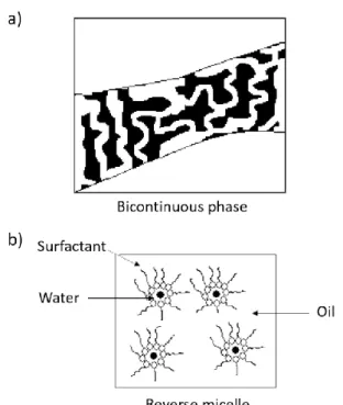 Figure 20. Microemulsion structure at a given concentration of surfactant: a) water-in-oil phase; and b) formation  of cobalt particles (black dots) within the reversed micelles with the addition of surfactant