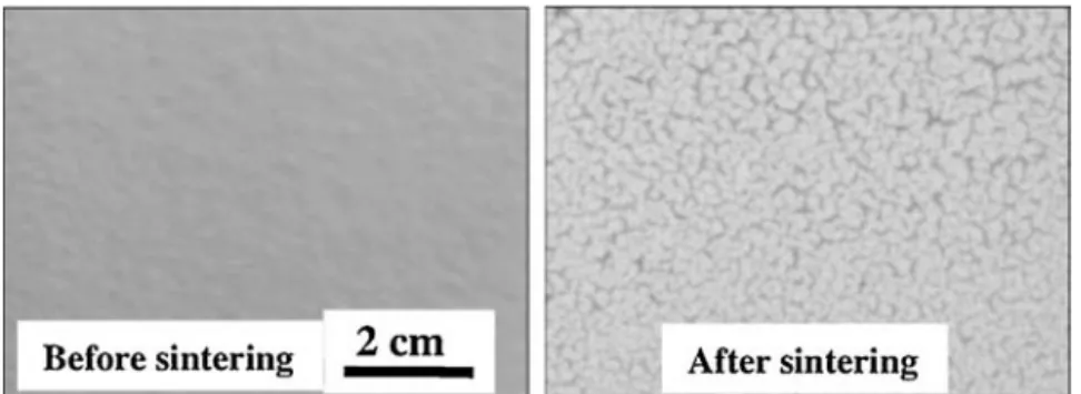 Fig. 1. Optical micrographs of the sol–gel TBC before and after the sintering heat treatment.