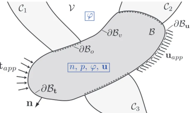 Figure 2 . 2 : Schematic of the boundary-value problem of a deformable semiconductor in contact with three electrodes.