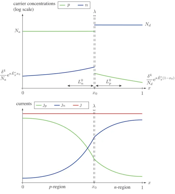 Figure 3 . 3 : Electron and hole densities and currents in the p-n junction, solution of the problem ( 3 