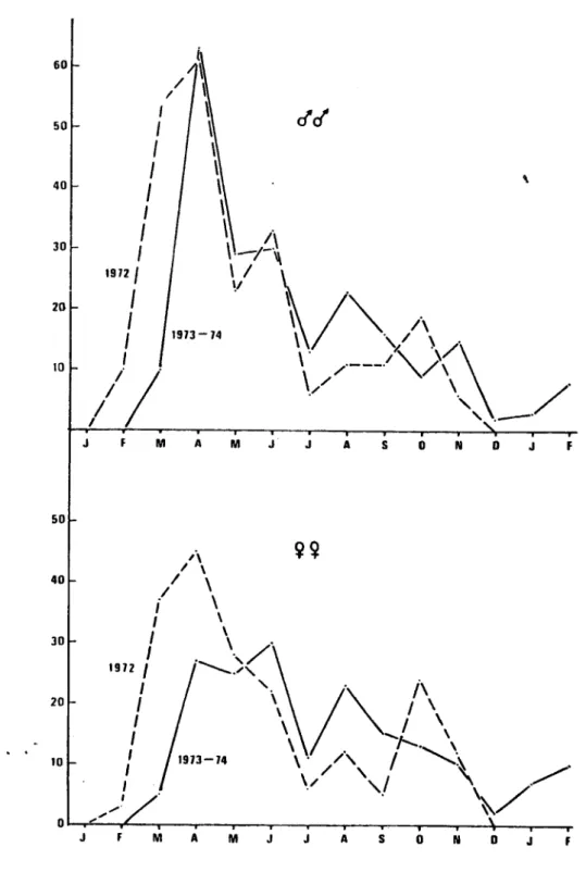 Figure I : Echantillonnage mensuel des adultes librea .  D'apres : Mermod, Aeschlimann, Graf, 1974 