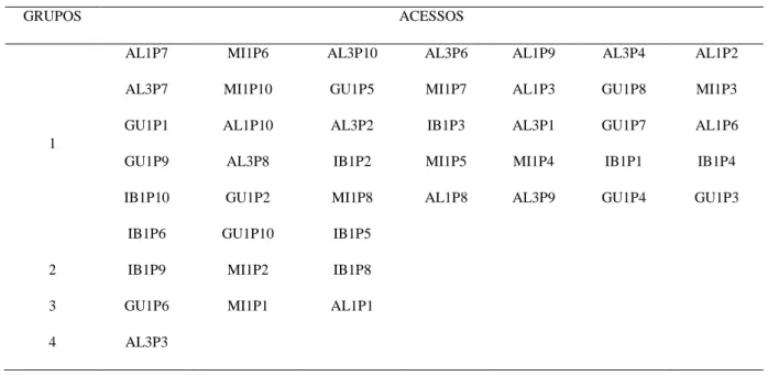 Tabela 5 – Agrupamento dos 45 acessos de palmeira juçara (Euterpe edulis Martius) pelo método de otimização  de Tocher como base a matriz de distância generalizada de Mahalanobis  
