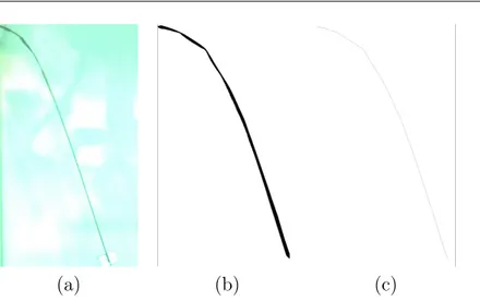 Figure 3.4 – Étapes principales du traitement sur ImageJ : sur la photographie initiale (a), un seuillage (b) puis une squelettisation (c) sont appliqués.