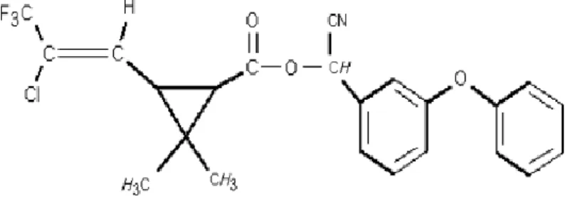Figure 04: Structure chimique de la lambda cyhalothrine (Hamadi etal.,2009) . 