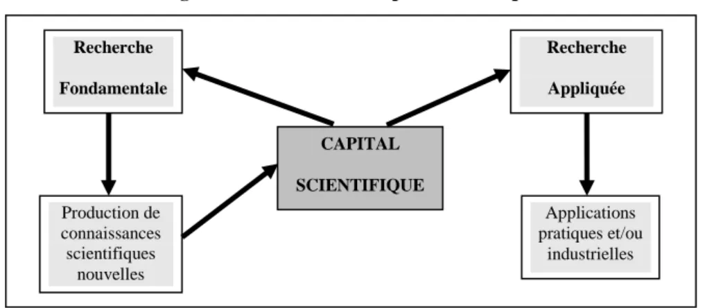 Figure 3 : Le circuit du capital scientifique 