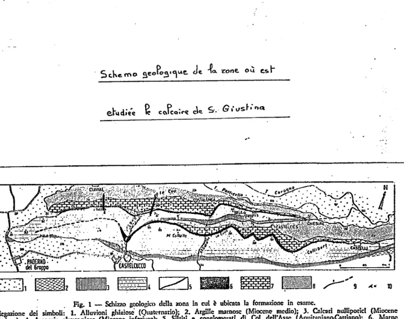 Fig.  1  —  Schizzo  gcologico  ciella  zona fo  cui  6  ubicata  la  formazione  in  csame