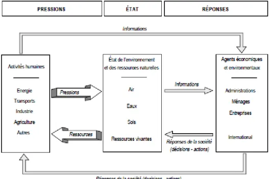 Figure 18 - Modèle Pressions - Etat – Réponses (Organisation de Coordination et de Développement Economique 1993) 