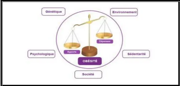 Figure 1 : Déséquilibre de la balance énergétique et autres facteurs favorisant l’obésité  (Charles, 2016)