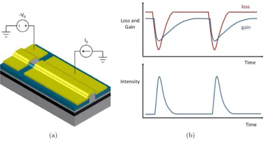 Figure 1.10 – (a) Biasing condition for a passively MLL. (b) Steady-state loss and gain dynamics in a passively MLL.