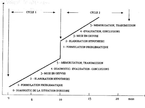 Figure 2 : Cycle de la recherche-action (LIU, 1976) 