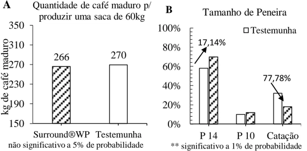 Figura 1.  A) Quantidade necessaria de café maduro para produzir uma saca de 60kg; B) Tamanho de peneira e catação dos grãos defeituosos