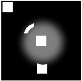 Figure 3 Shape of an amoeba at various positions on an image.