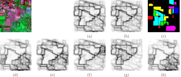 Figure 5. MonteCarlo estimation of pdf’s of contours using SW for “Indian Pines”: (a) uniform unsupervised pdf of contours pdf( x ); (b) semi-supervised multi-class pdf of contours pdf C ( x ); (c) ground truth of some classes (in Yellow class 2 “Corn-noti