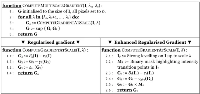 Table 1. Algorithms for computing the regularised gradient and the proposed enhanced gradient