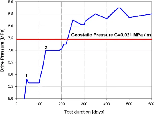 Figure 2: Wellhead Pressure Evolution During the Etzel K-102 Test (After Rokahr et al., 2000)