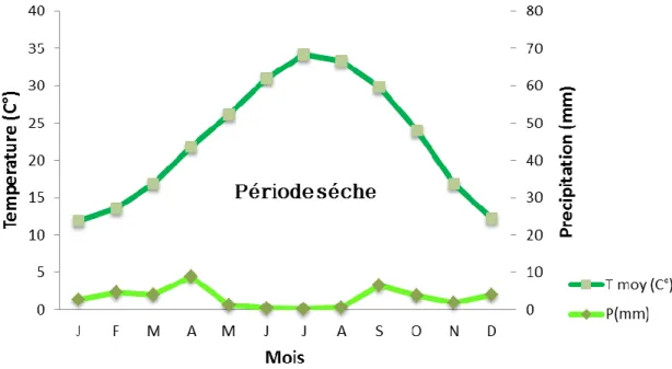 Figure 05 : Diagramme Ombrothérmique de GAUSSEN pour Oued Souf (2007-2016) 