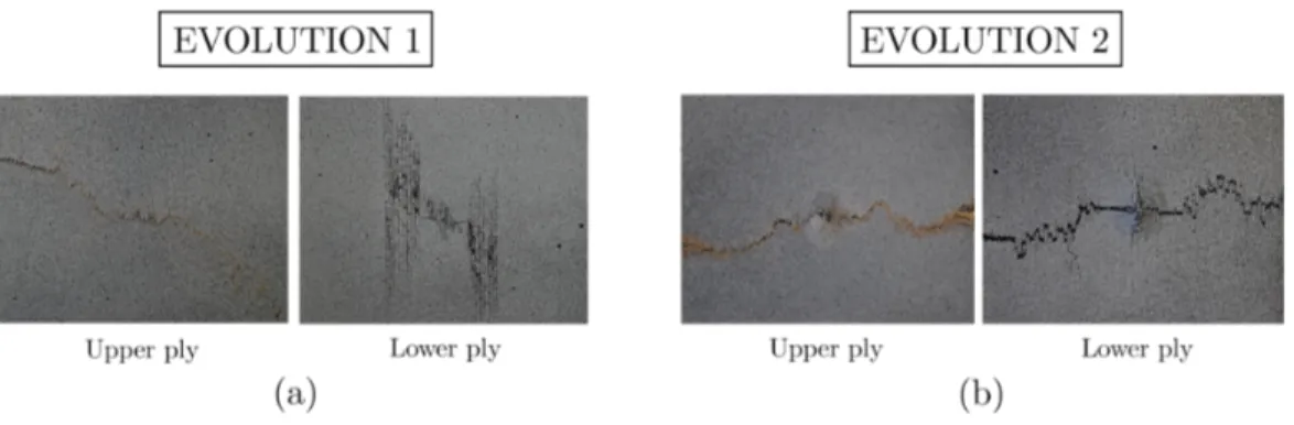 Figure 16: Two post-impact damage evolutions obtained after fatigue tensile test on impacted sample of configuration G0C45C0