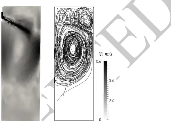 Figure 3: Averaged velocity magnitude (left) and streamlines in the double-roll area (right) 