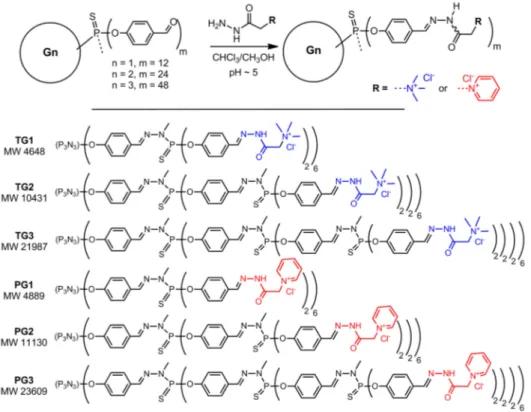 Figure 2. Synthesis and structures of acetohydrazone-terminated phosphorus dendrimers.