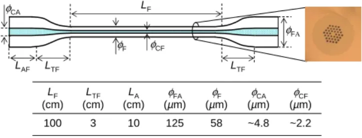 Fig. 1. Chalcogenide GeAsSe microstructured fiber.