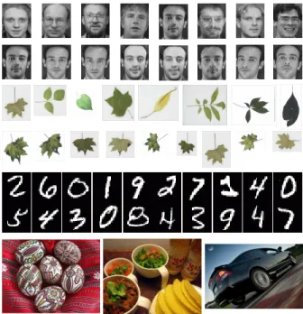 Fig. 3. This figure shows samples of training and test images taken respectively from the Olivetti face database, the  Smithso-nian leaf set, MNIST digit database and ImageClef@ICPR set.