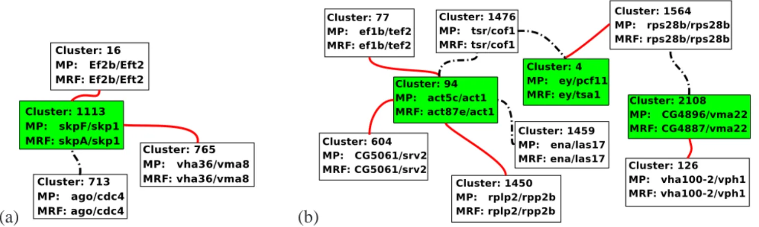 Fig. 3. Illustration of difference between MRF and MP alignment. Each box represents an Inparanoid cluster, white unfilled boxes represent clusters where MP and MRF assignments are the same