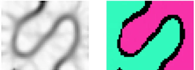 Figure 3: Visualization of the typical “U-matrix” for the SOM obtained on the "chain link" 3D  data set (left), and corresponding segmentation of the SOM produced by our algorithm (right)
