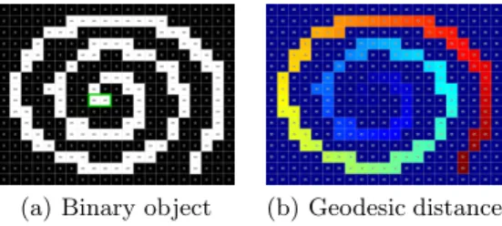 Fig. 1. Geodesic distance from the highlighted pixels in the spiral.