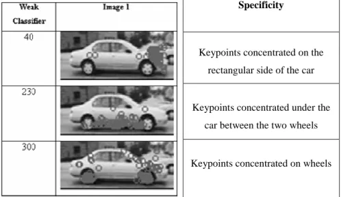 Figure 6 - Position of adaBoost positively responding keypoints,   cumulated on all positive example images: each selected keypoint 