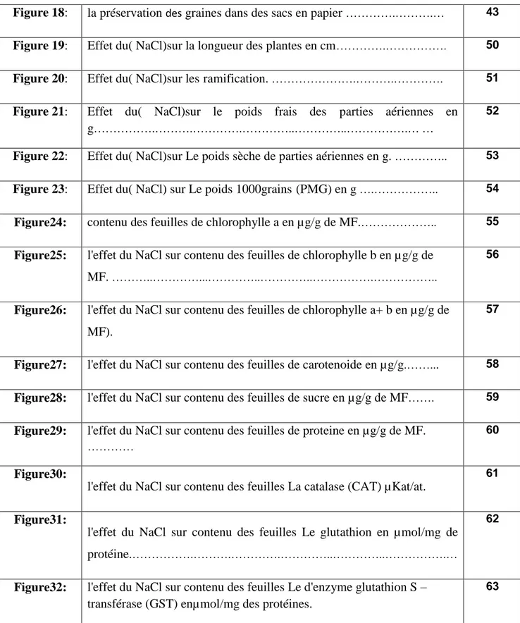 Figure 20: Effet du( NaCl)sur les ramification.  ………………….……….………….  51  Figure 21: Effet  du(  NaCl)sur  le  poids  frais  des parties  aériennes  en 