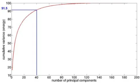Fig. 3. Cumulative variance of the Principal Component Analysis. 