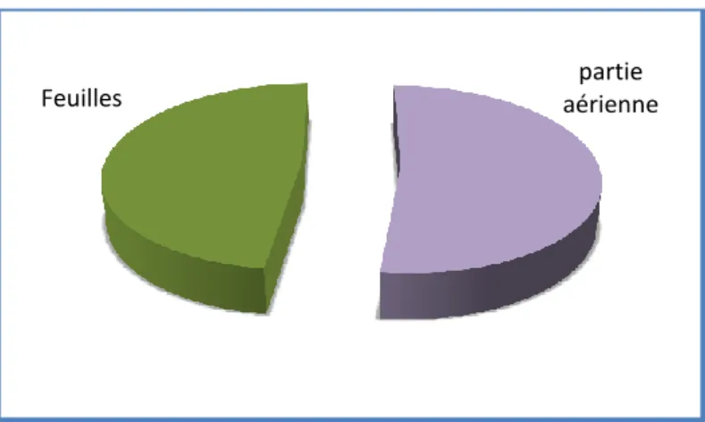 Figure 39 : Représentation statistique descriptive des résultats l’enquête ethnobotanique selon  la partie utilisée