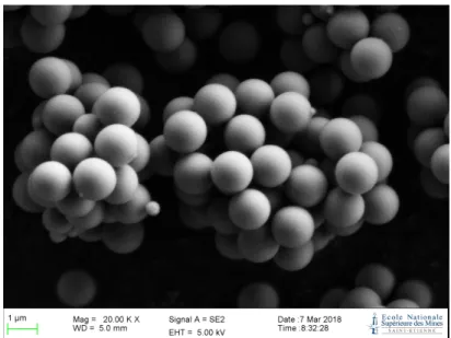 Figure 1: Silica powder before coating (SEM)