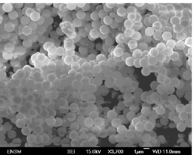 Figure 3: Silica powder after coating (SEM)
