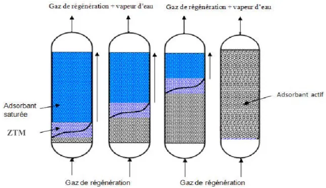 Figure II.8 : Evolution de la ZTM au cours du temps de régénération. 