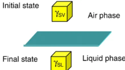 Fig. 3. The ﬁ nal stage of solid particle is characterised by γ SL .Fig. 1.Size distributions of the talc powders.