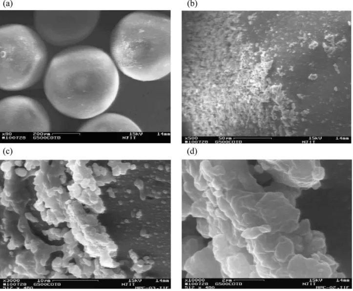 Fig. 10. SEM photographs of coated glass beads (500 Am) with HPC at different magnifications: (a) &#34; 90; (b) &#34; 500; (c) &#34; 3000; (d) &#34; 10,000.