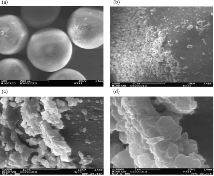 Fig. 10. SEM photographs of coated glass beads (500 Am) with HPC at different magnifications: (a) " 90; (b) " 500; (c) " 3000; (d) " 10,000.