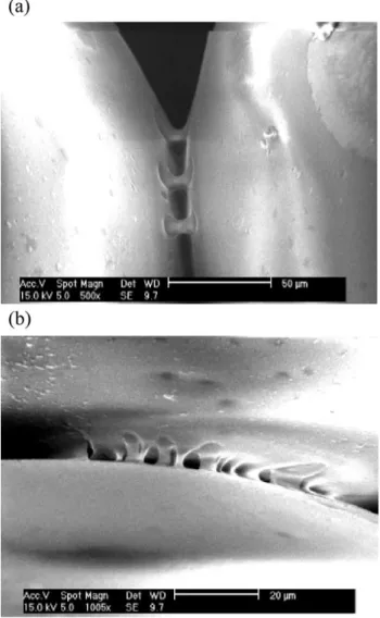 Fig. 7a shows two glass beads ‘‘glued’’ together by polymer. Due to the CO 2 pressure and temperature  varia-tion, the polymer nucleates and grows, falling into the area between neighboring glass beads, forming a bridge as well as covering the surface