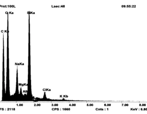 Fig. 10 shows SEM pictures of 500-Am glass beads processed with HPC. Compared with Fig
