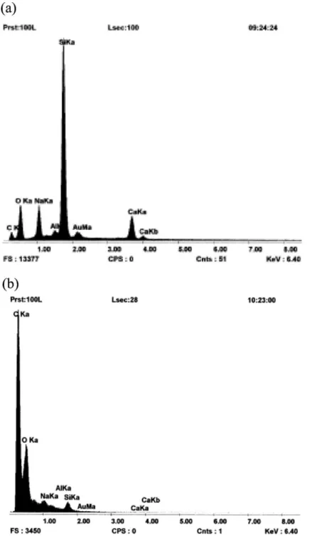 Fig. 4. EDS of unprocessed (a) and coated (b) glass beads (315 Am).