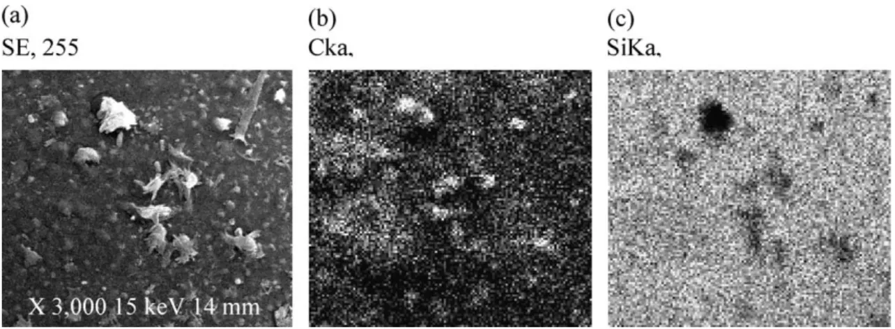 Fig. 5. EDS mapping of coated glass beads (315 Am): (a) SEM image; (b) carbon mapping; (c) silicon mapping.
